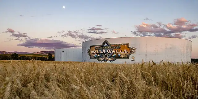 Walla Walla Sweet Onions 